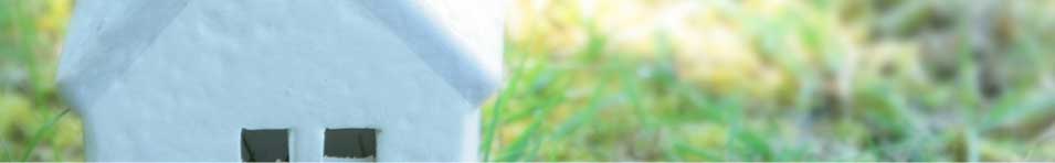 地球にやさしい環境の創造